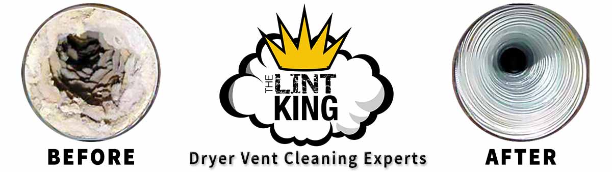The Lint king Links to Professional Services